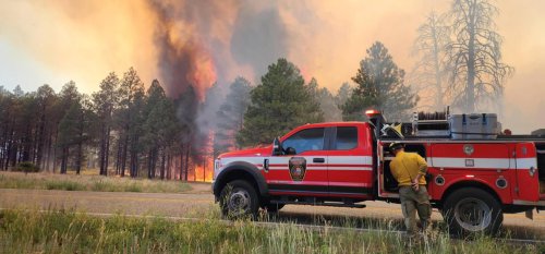 White Sage Fire grows to 52,990 acres with 4% containment in northern Arizona