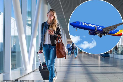 Southwest CEO justifies controversial shift to 'Bags Fly Free' policy