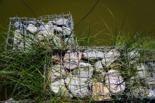 Illegal camping, dogs and bikes threatening habitat restoration efforts at SLC nature preserve