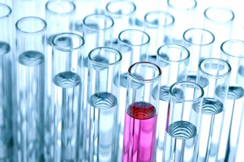 Biotech Stocks Are Ready to Rebound. 3 to Watch Now.