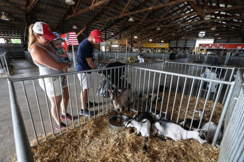 Fond du Lac County Fair: Everything to know about food, rides, hours, headliners &amp; more