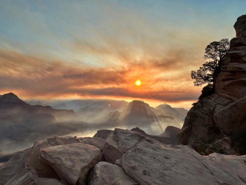 Dragon Bravo Fire destroys over 70 structures at Grand Canyon; historic lodge gone