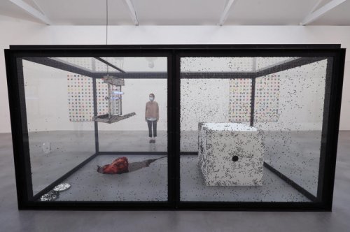 Damien Hirst accused of stealing idea for breakthrough artwork