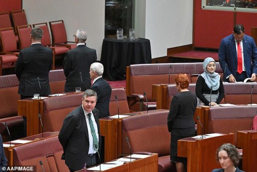 Pauline Hanson and One Nation colleagues turn their back on Acknowledgement of Country in parliament