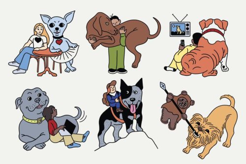 The perfect dog breeds for very specific L.A. people