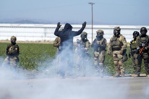 There are many illegal marijuana farms, but federal agents targeted California's biggest legal one