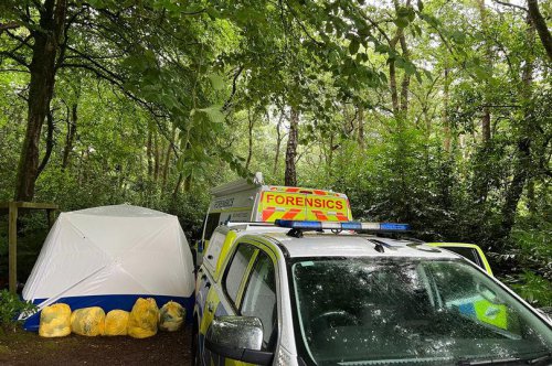 Cornwall murder scene has police from all over the country searching woodland