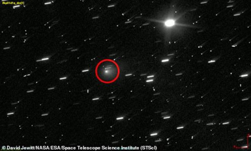 Interstellar object hurtling through our solar system may bring life from distant world