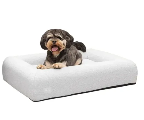 The 9 best dog beds to keep your pooch comfy and well-rested