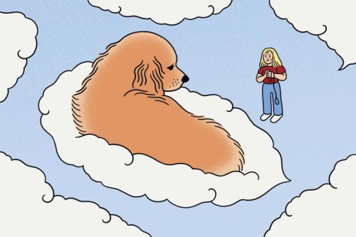 How do you know when it's the right time to say goodbye to a beloved dog?