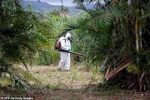 Experts warn of another global epidemic as rare virus spreads to new areas