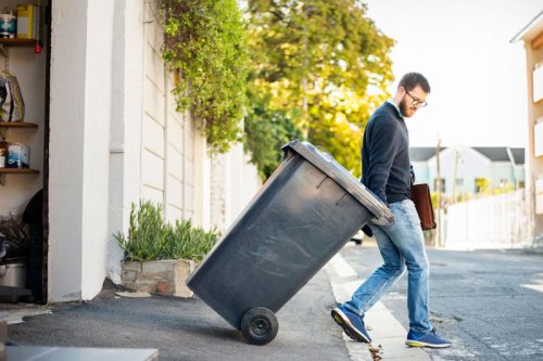 Top 13+ Things You Should Never Throw in the Garbage