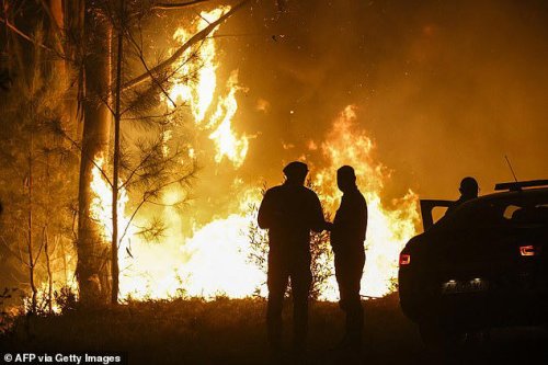 Wildfires break out in Portugal, Greece and Spain while tornadoes lash tourist hotspots