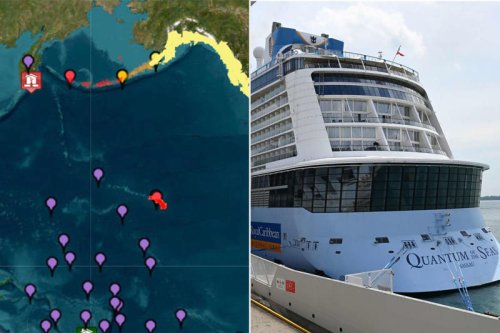 Passenger Recounts 'Frantic' Hours on Royal Caribbean Cruise During Alaskan Tsunami Alert (Exclusive)