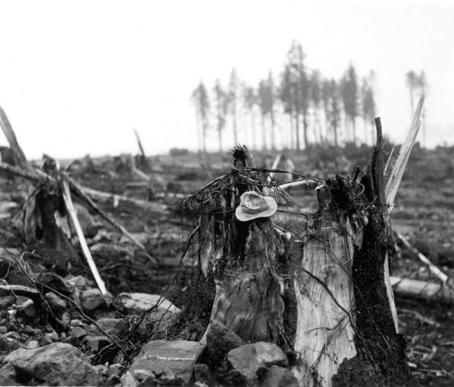 History&rsquo;s biggest recorded tsunami happened in the US: A look back
