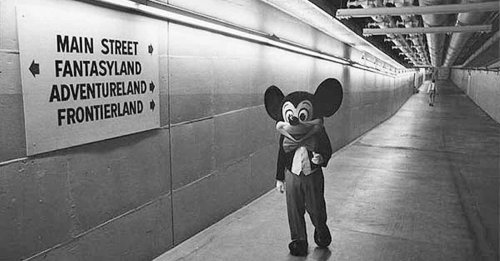 Top 25+ Not-So-Family Friendly Disney Park Facts
