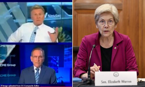CNBC anchors slam Elizabeth Warren over economic warnings