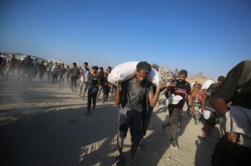 &lsquo;More than 48 Palestinians killed&rsquo; waiting for flour delivery in Gaza Strip