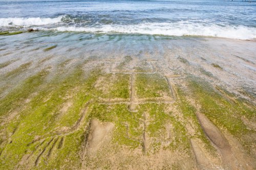 US army makes 500-year-old discovery on Hawaii beach