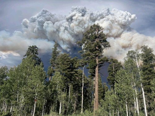 Wildfire raging near Grand Canyon grows into a 'megafire'