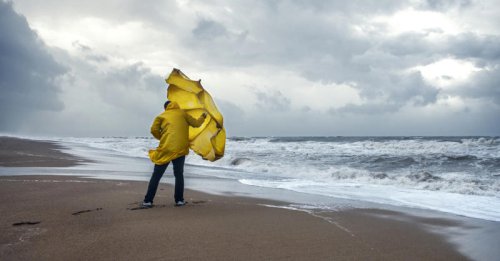 &lsquo;The eye of the hurricane&rsquo;: Why the U.S. job market has soured, economists say