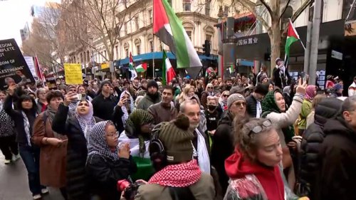Decision delayed as police battle protesters over Harbour Bridge demonstration