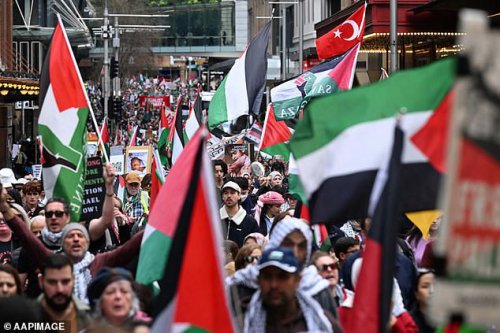 Major update in Sydney Harbour Bridge protest as police reveal why they're so against march