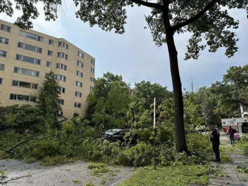 Maryland teen dies after getting trapped in storm drain during floods