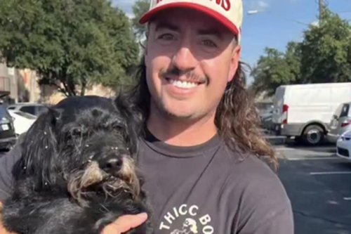 Influencer Who Lost Dog in Car Theft Finally Reunited with Pup After 6 &lsquo;Heartbreaking&rsquo; Days
