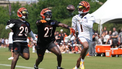 Sunday Bengals Training Camp Open Thread and News (8/3)
