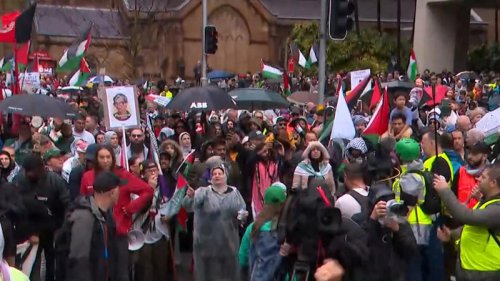 Pro-Palestine march halted as 'too many' try to join