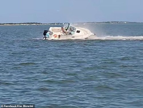 Whale is killed in New Jersey waters after boat crashes into it, throwing sailor overboard