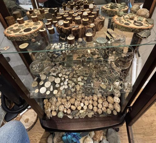 15+ People Whose Collections Are Anything but Boring