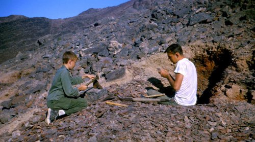 California's Volcanic Mountain Range Hidden In The Mojave Desert Is A Popular Fossil Hunting Paradise