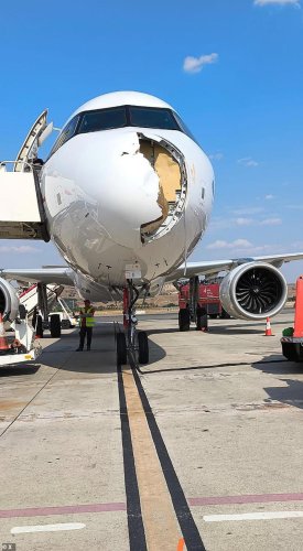 Terrifying pictures show huge damage to front of Airbus struck by bird after taking off from Spain