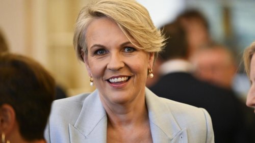 Huge call on new Aussie WFH laws