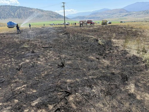 A fish fell from the sky and sparked a brush fire that knocked out power, officials say