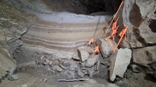 Animals dating back 10,000 years found in Arctic cave: &lsquo;A rare snapshot of a vanished world&rsquo;