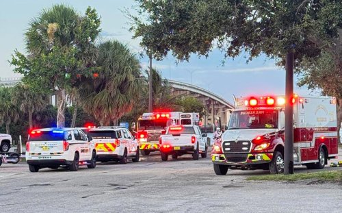 Woman attacked by alligator while swimming with dog, boyfriend: Sheriff