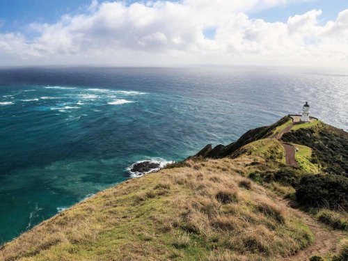 Destination New Zealand: Chasing Records at the Edge of the World