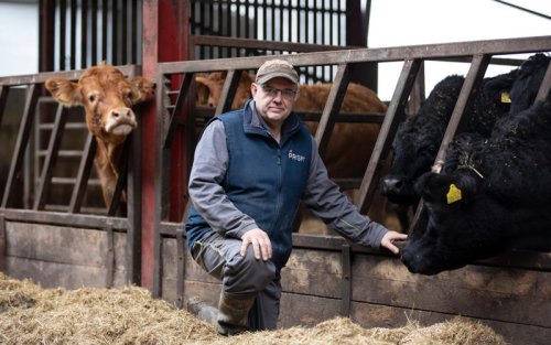 Record number of farms shut in wake of inheritance tax raid