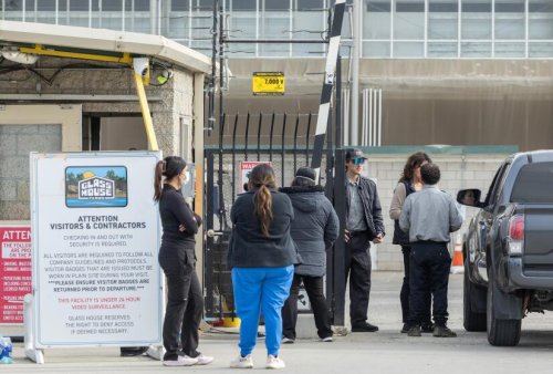 ICE raid at major pot operation clouds picture for legal cannabis in California