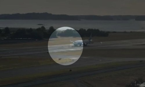 VIDEO: Plane strikes deer on Kodiak runway, grounds Alaska Airlines flights
