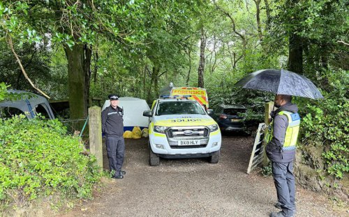 Mystery as &lsquo;multiple bodies&rsquo; found in woods