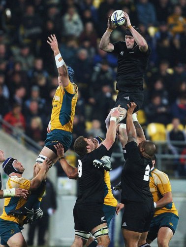 Wallabies add ex-All Blacks lock to coaching team