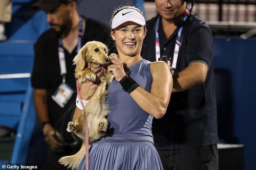 Hilarious moment tennis star's pet dog storms the court at DC Open