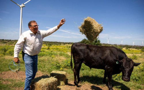 Why Texas&rsquo;s &lsquo;cut-throat&rsquo; approach to net zero is paying off