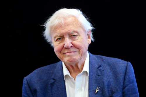 David Attenborough's next major documentary series