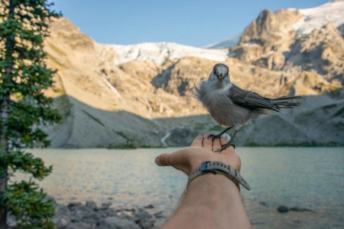 A lake in Canada can explain how life on Earth began