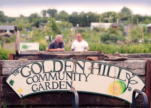Experts reveal the hidden health benefits of having an allotment